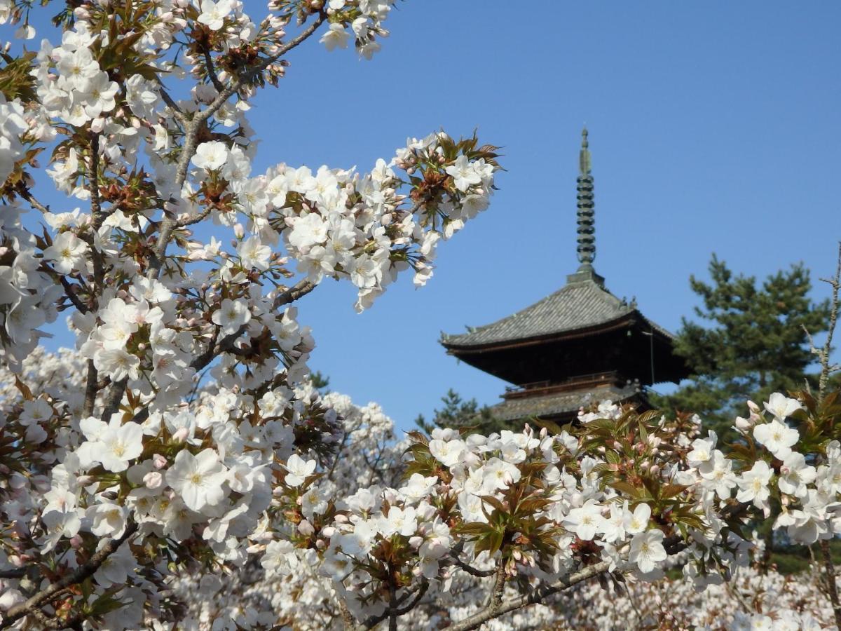 Stay Sakura Kyoto Tsubaki Exteriör bild