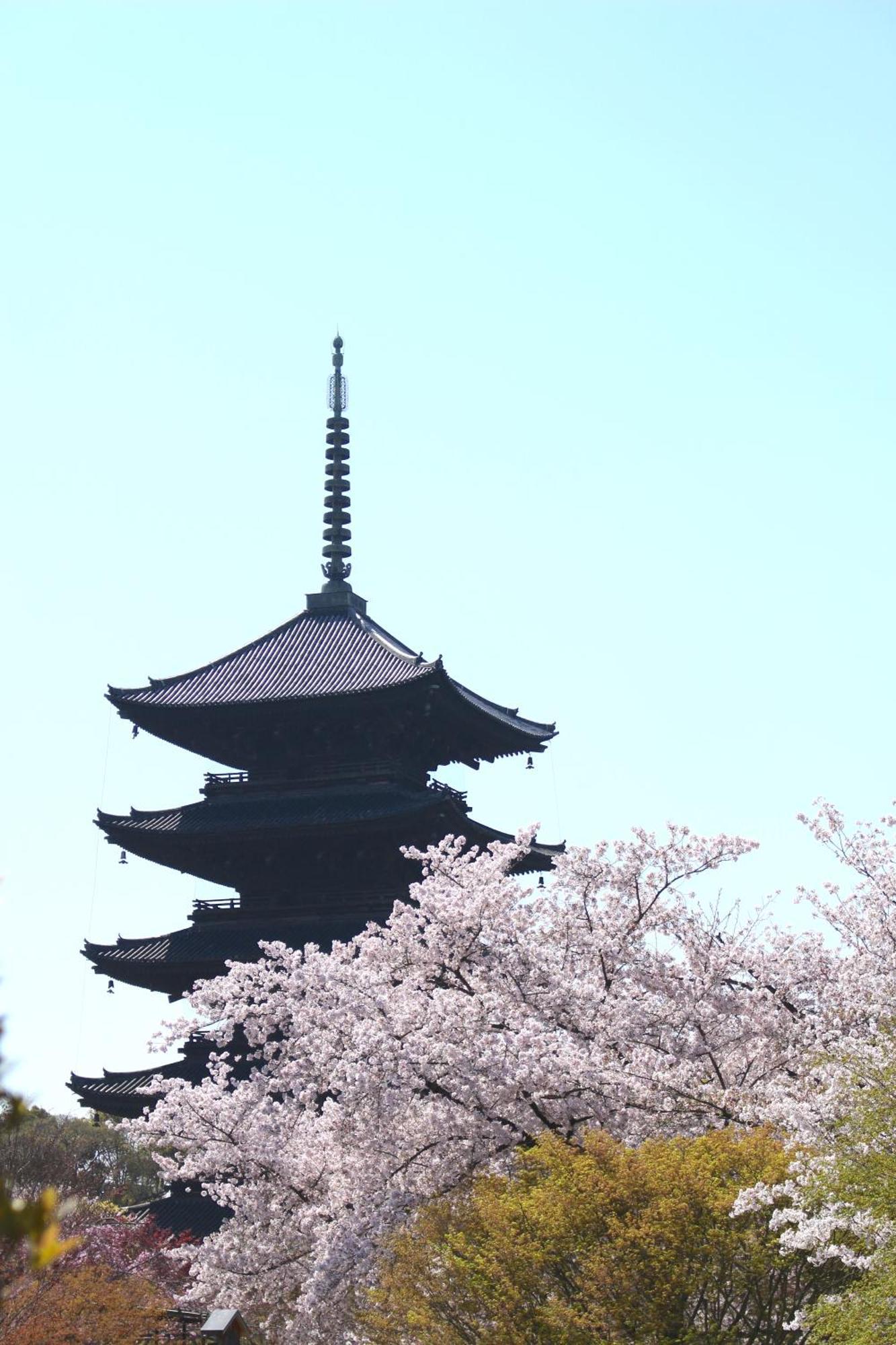 Stay Sakura Kyoto Tsubaki Exteriör bild
